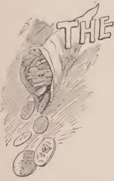 9252
