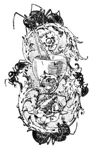 Initial S Initial S
