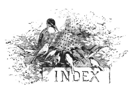 Index Index