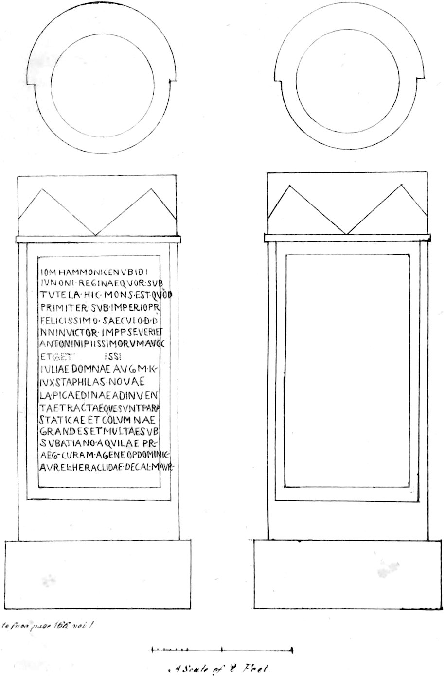 [Column]