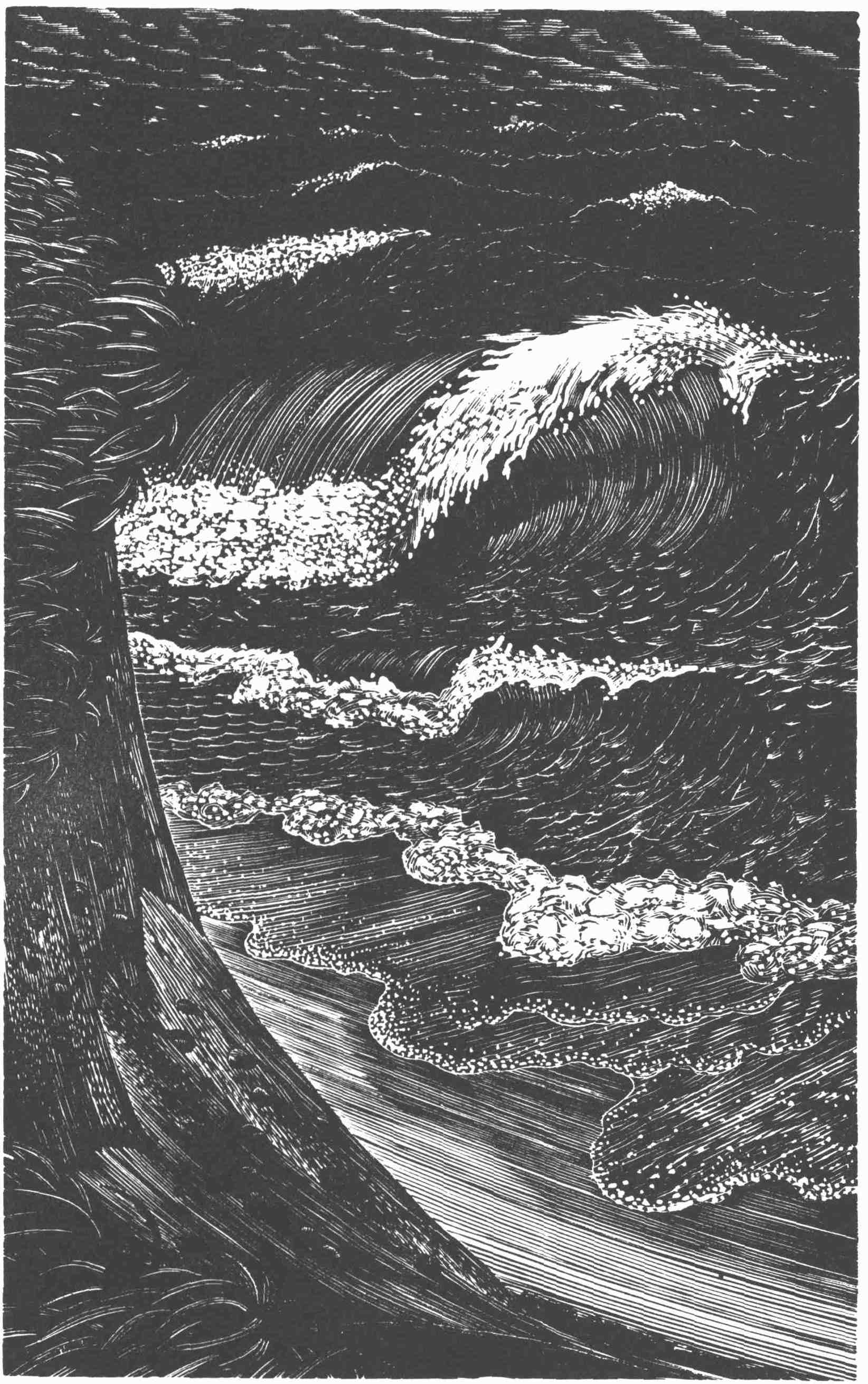 Large Ocean Waves