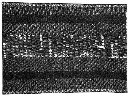 Figure 57: Section of Navajo belt.