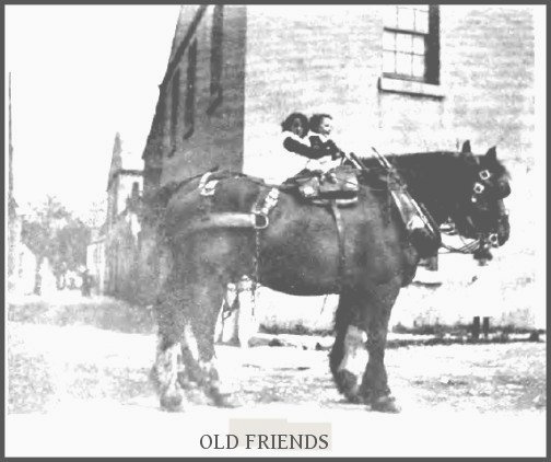 ‘Old Friends’