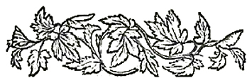image026