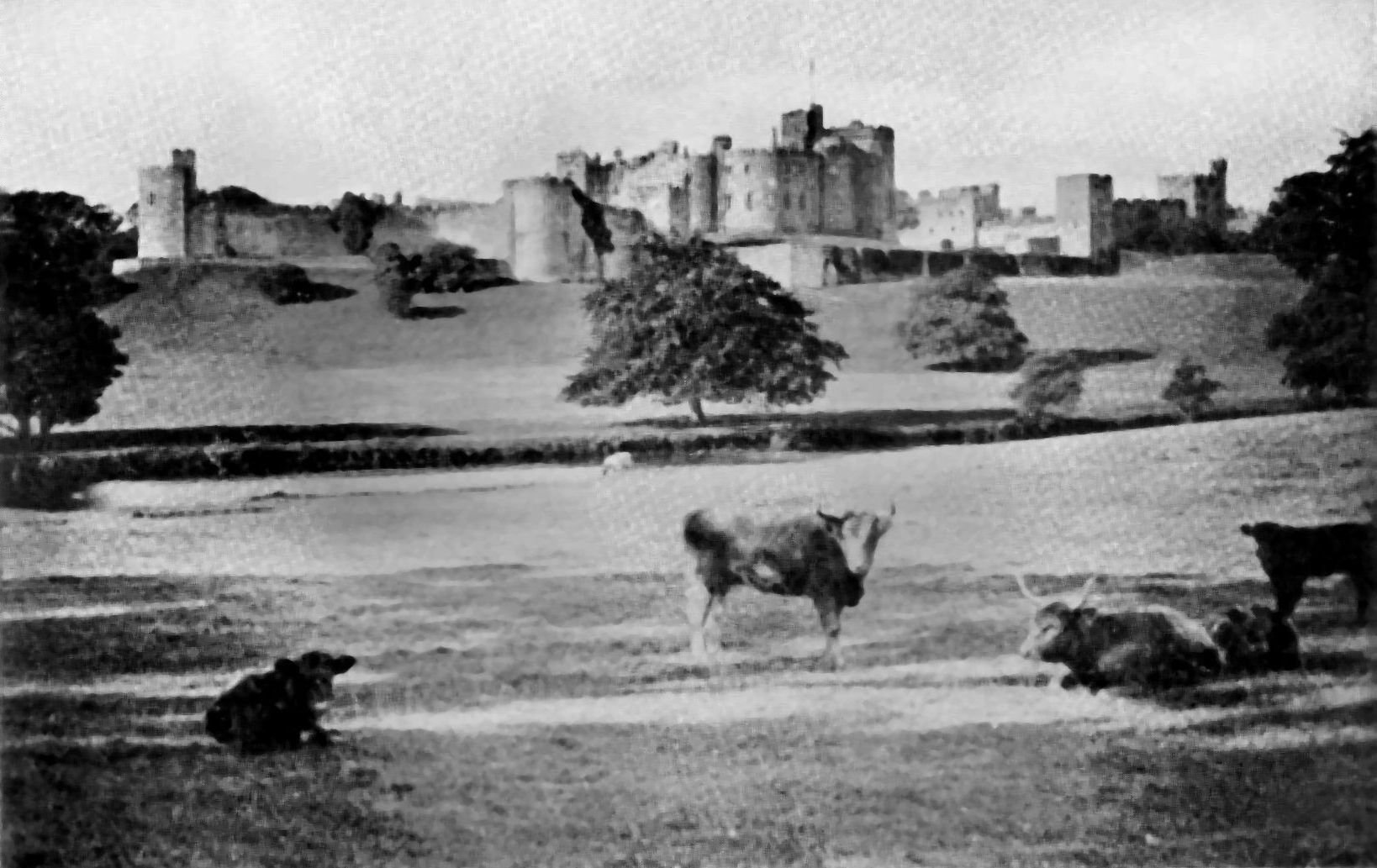 [Illustration: Alnwick Castle]