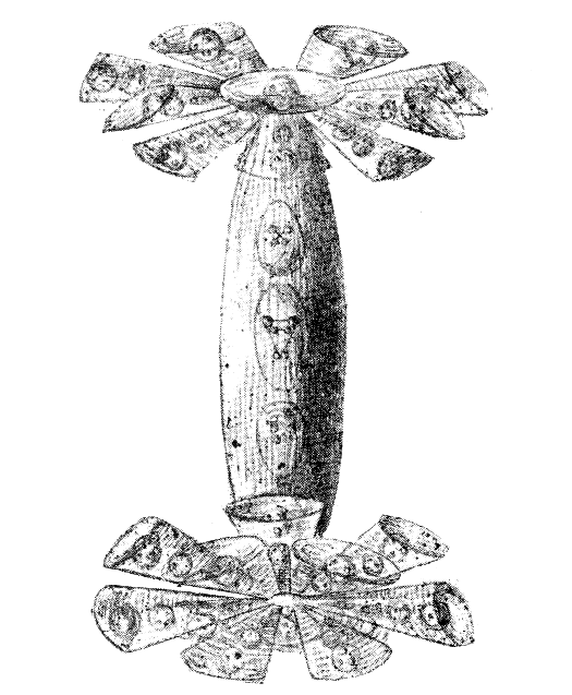 Plate I. Sodium.