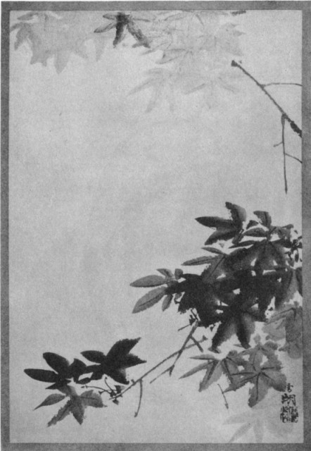 Color With Outlines Suppressed. Plate XII. Color With Outlines Suppressed. Plate XII.