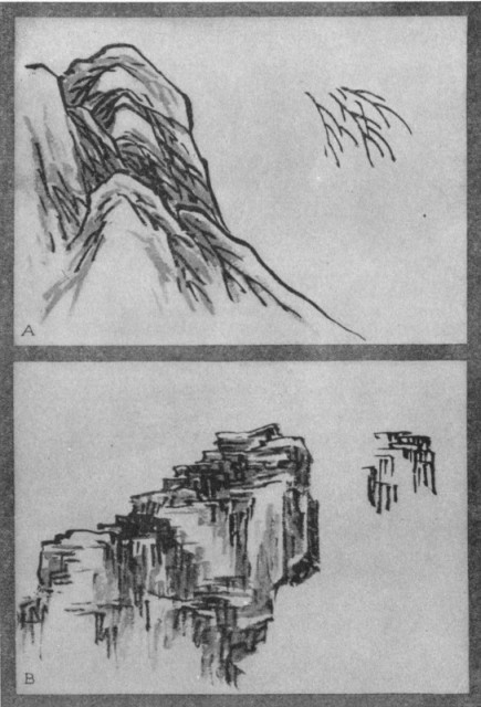 Lines or Veins of Lotus Leaf (a). Alum Crystals (b). Plate XXIV. Lines or Veins of Lotus Leaf (a). Alum Crystals (b). Plate XXIV.