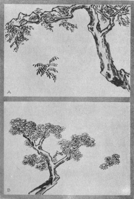 Wistaria Dot (a). Chrysanthemum Dot (b). Plate XXXII. Wistaria Dot (a). Chrysanthemum Dot (b). Plate XXXII.