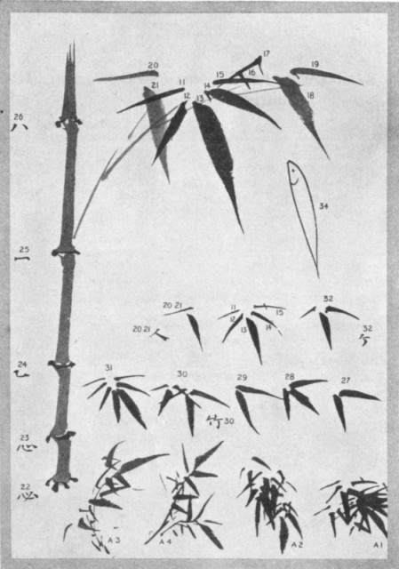 The Bamboo Plant and Leaves. Plate LIII. The Bamboo Plant and Leaves. Plate LIII.