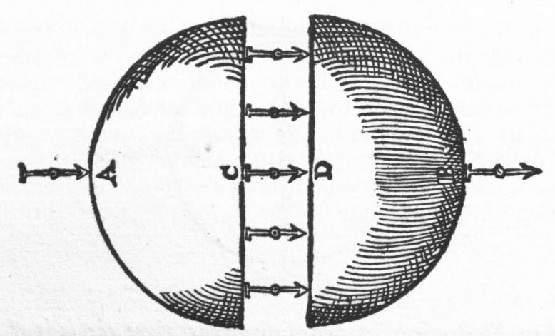 Terrella cut in two at the æquator.