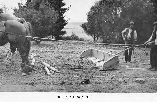 Buck-scraping