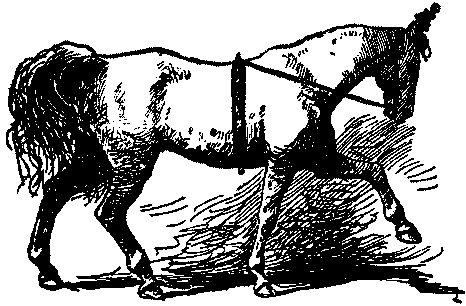 ABDALLAH PACES.