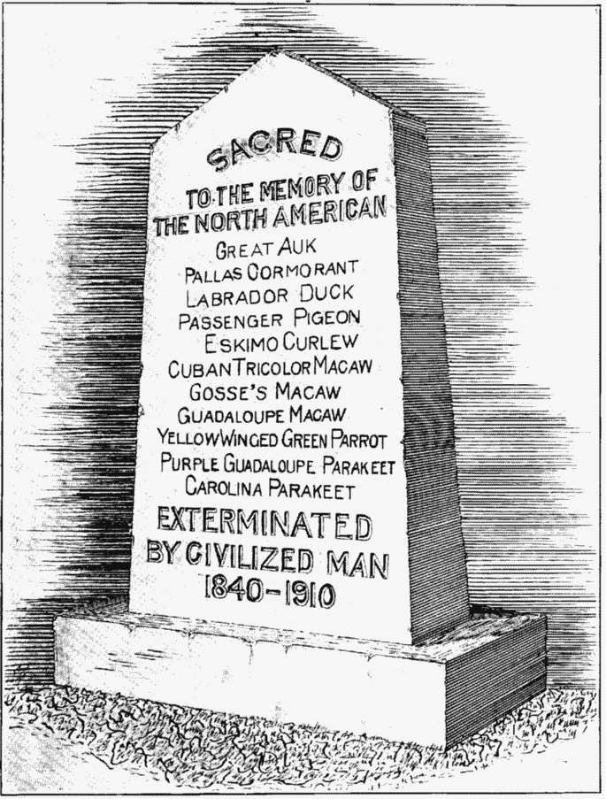 [SACRED TO THE MEMORY OF THE NORTH AMERICAN Great Auk Pallas Cormorant Labrador Duck Passenger Pigeon Eskimo Curlew Cuban Tricolor Macaw Gosse's Macaw Guadeloupe Macaw Yellow Winged Green Parrot Purple Guadaloupe Parakeet Carolina Parakeet EXTERMINATED BY CIVILIZED MAN 1840-1910] 