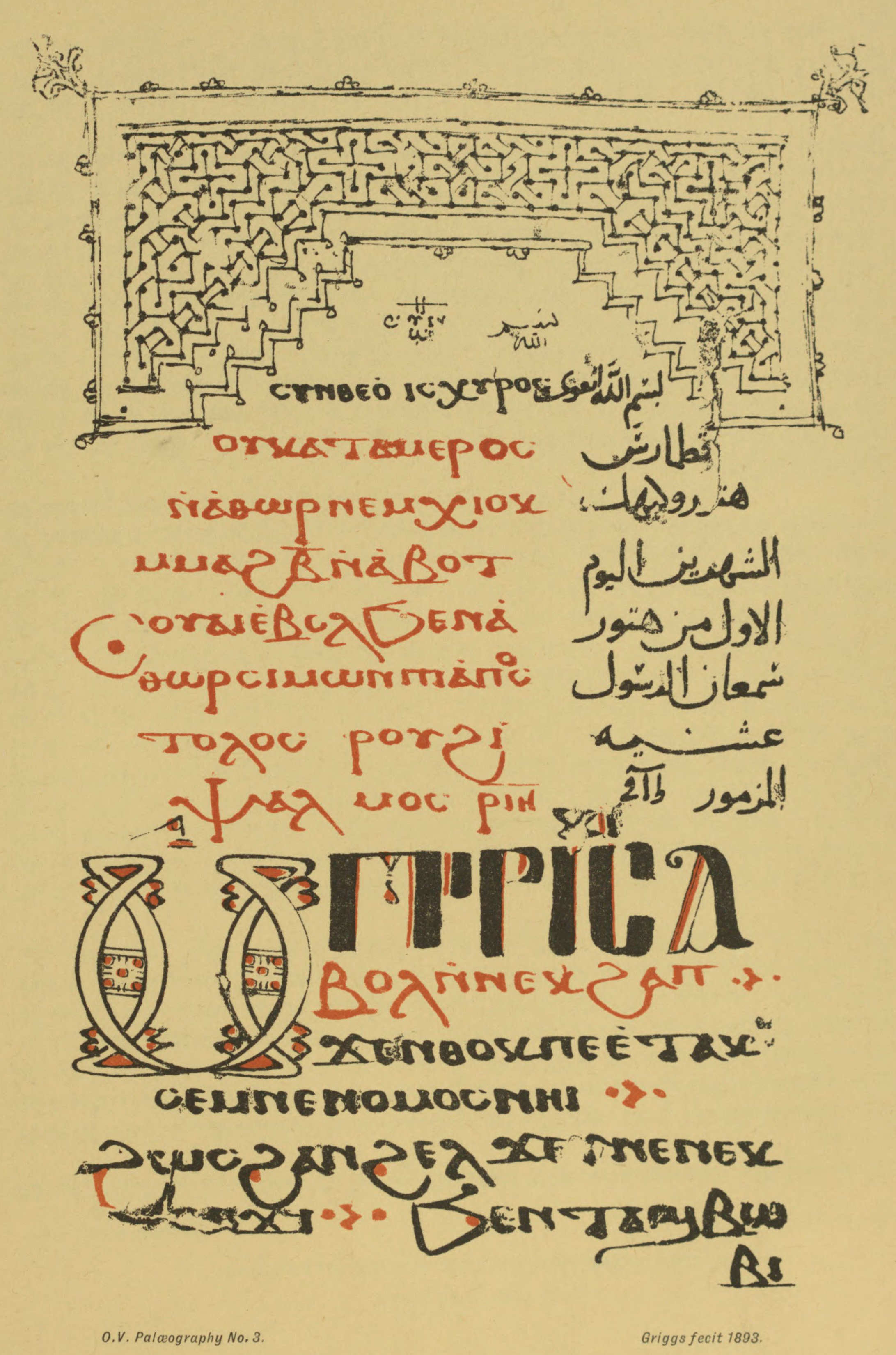 Plate 3 Plate 3