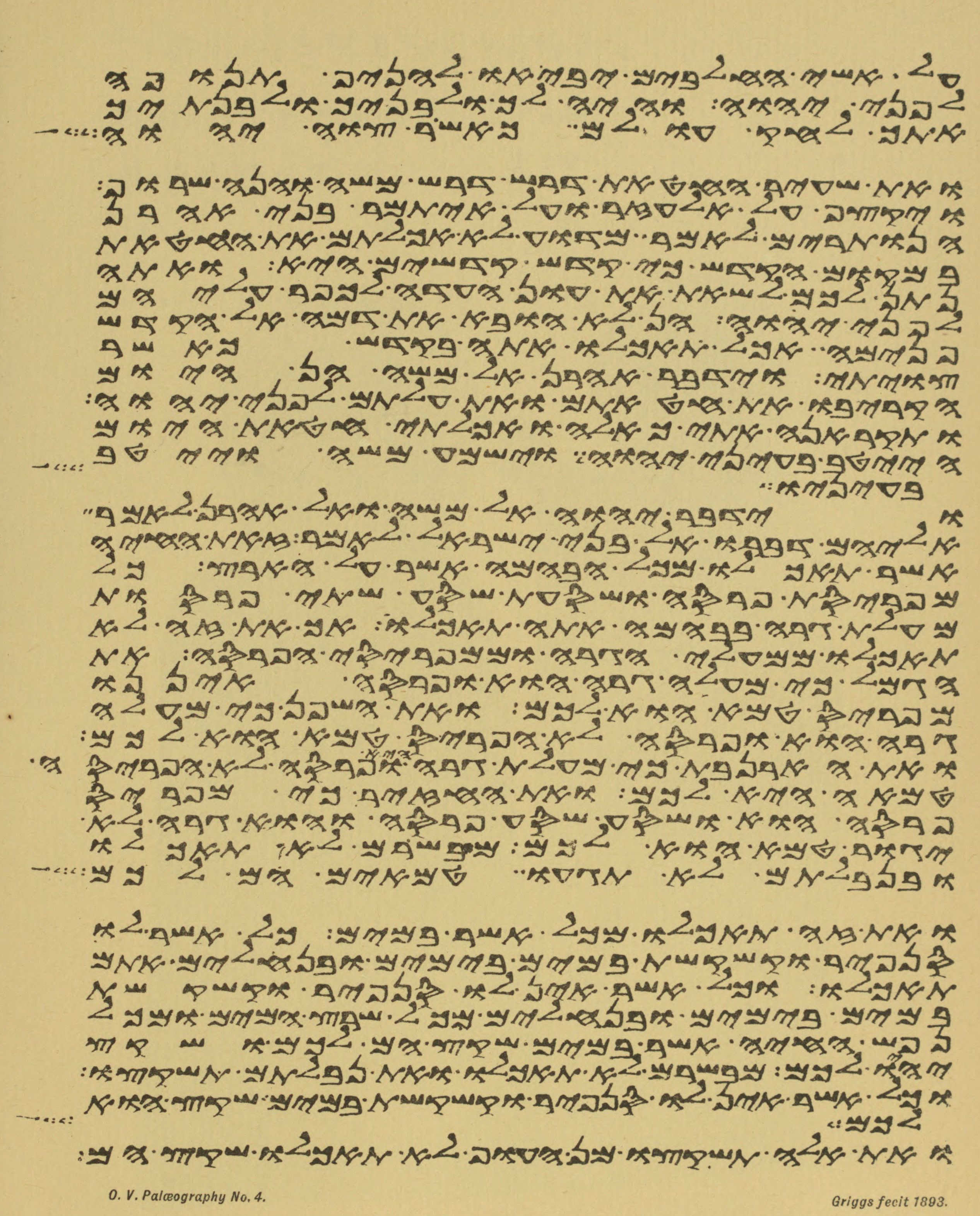 Plate 4 Plate 4