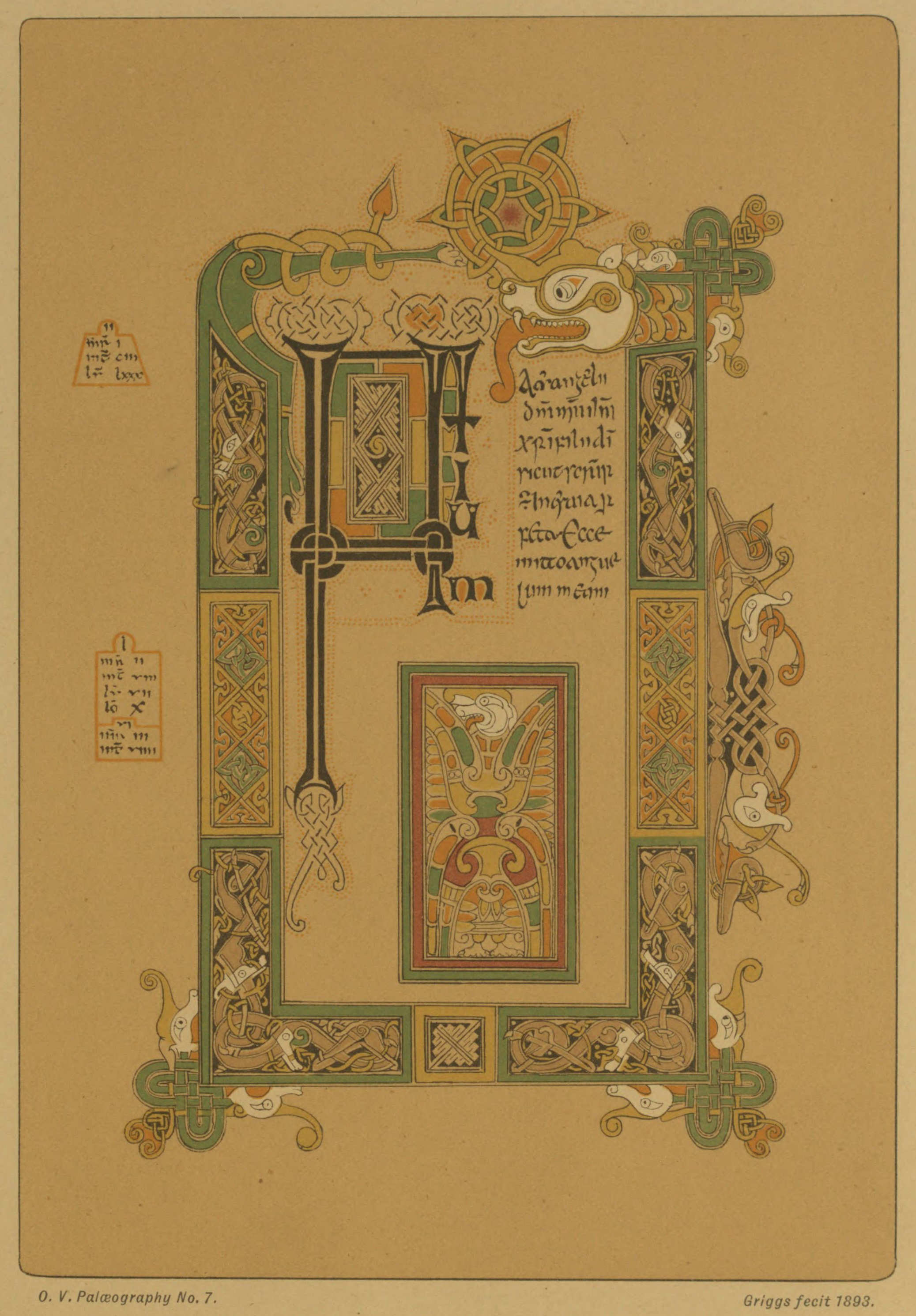 Plate 7 Plate 7