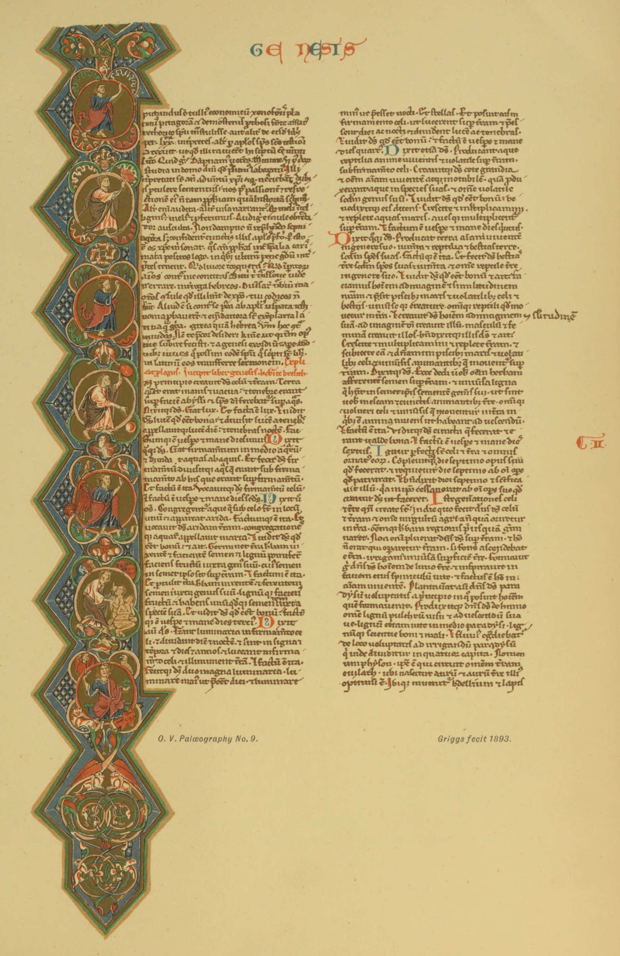 Plate 9 Plate 9