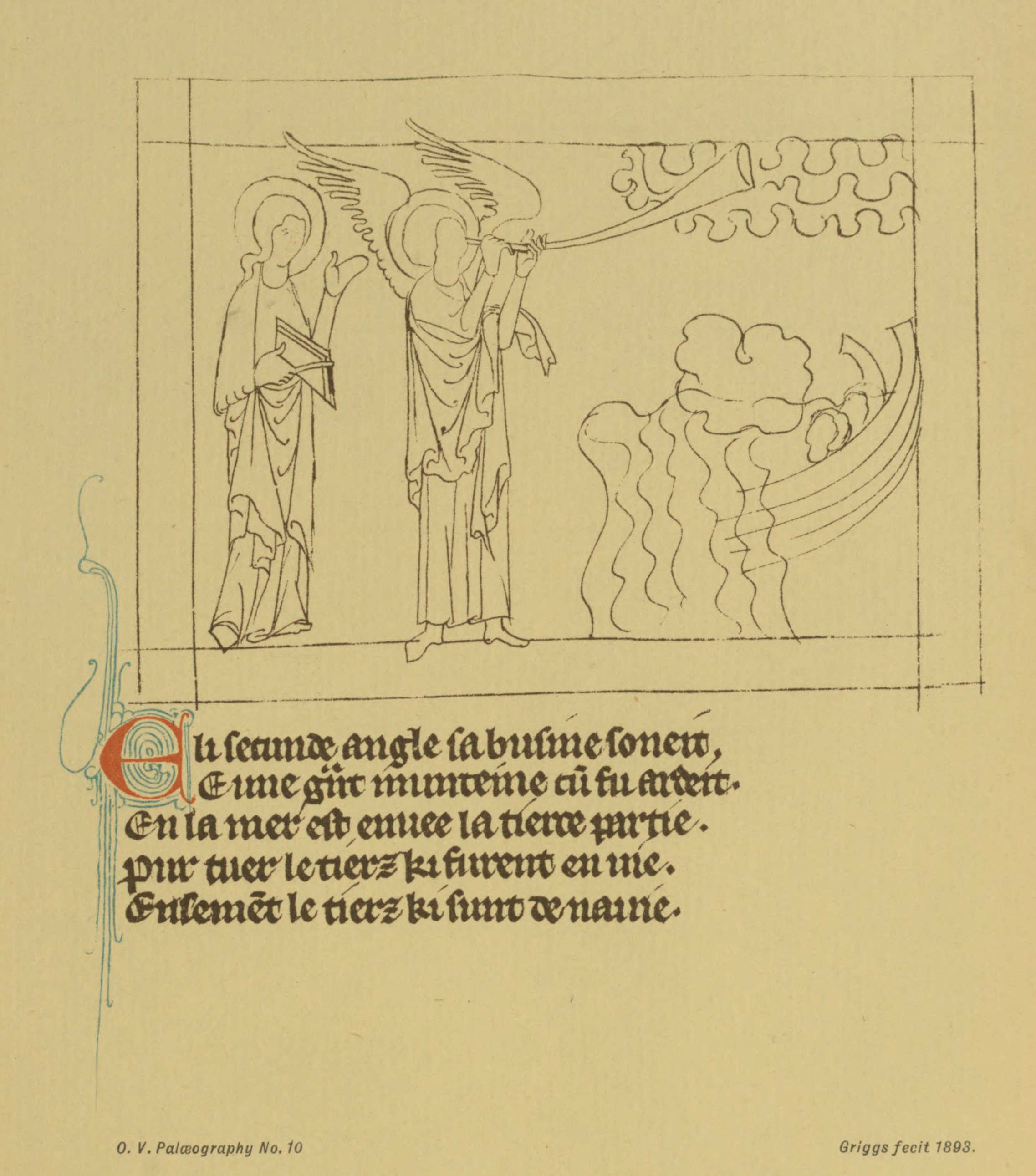 Plate 10