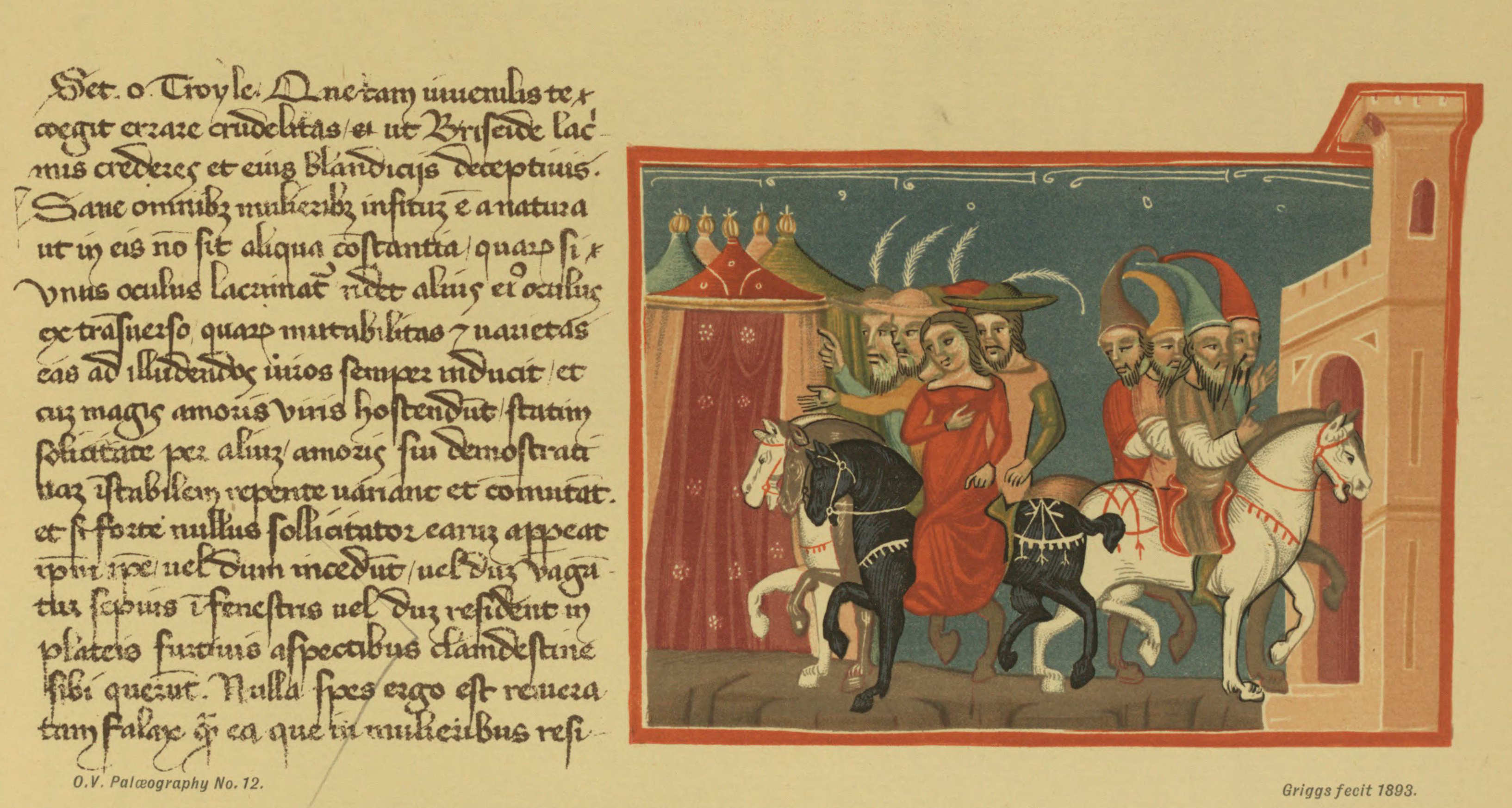Plate 12 Plate 12