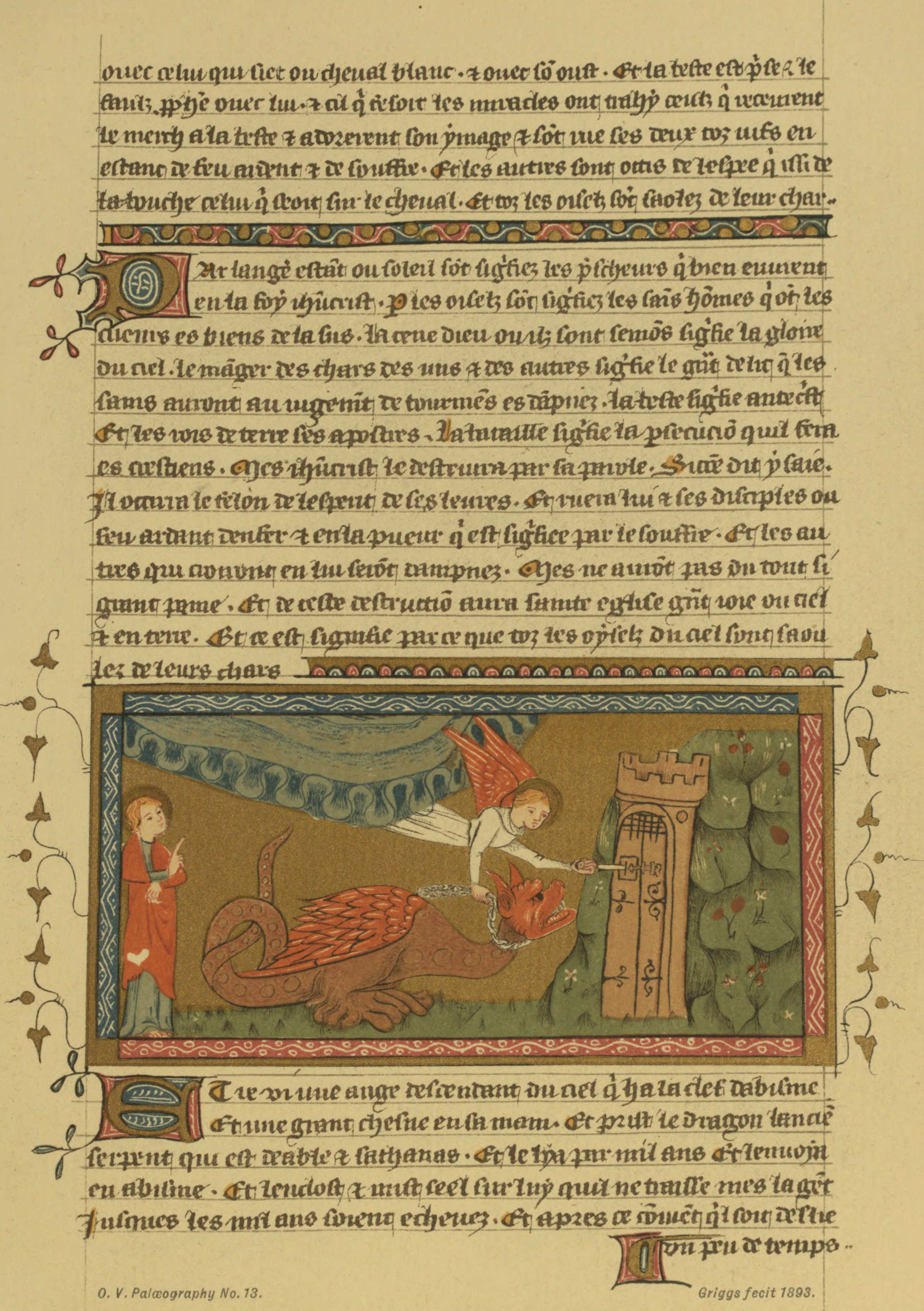 Plate 13 Plate 13
