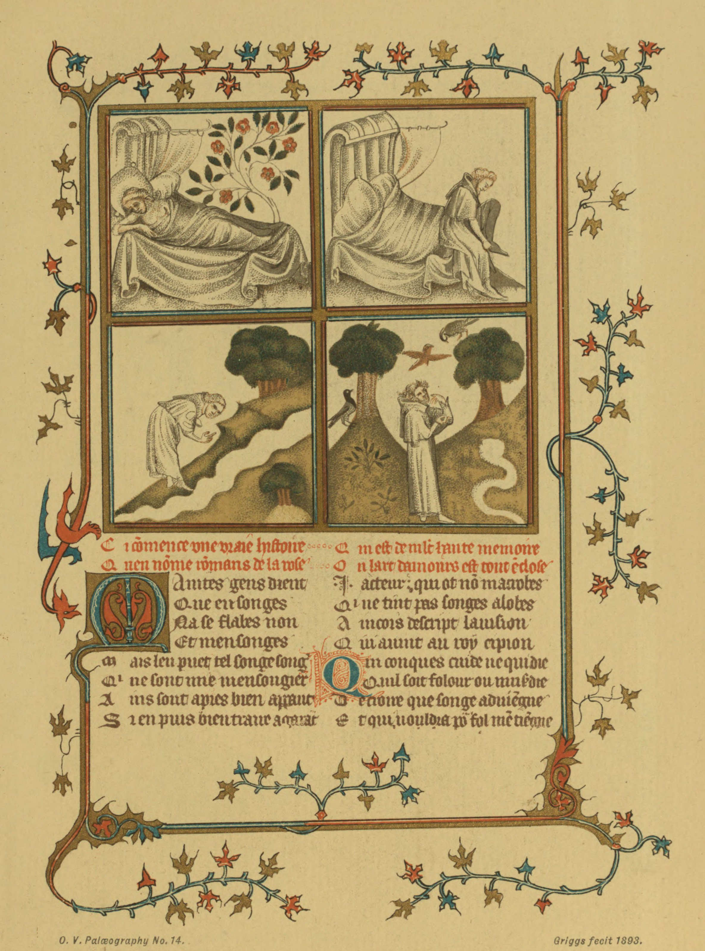 Plate 14 Plate 14
