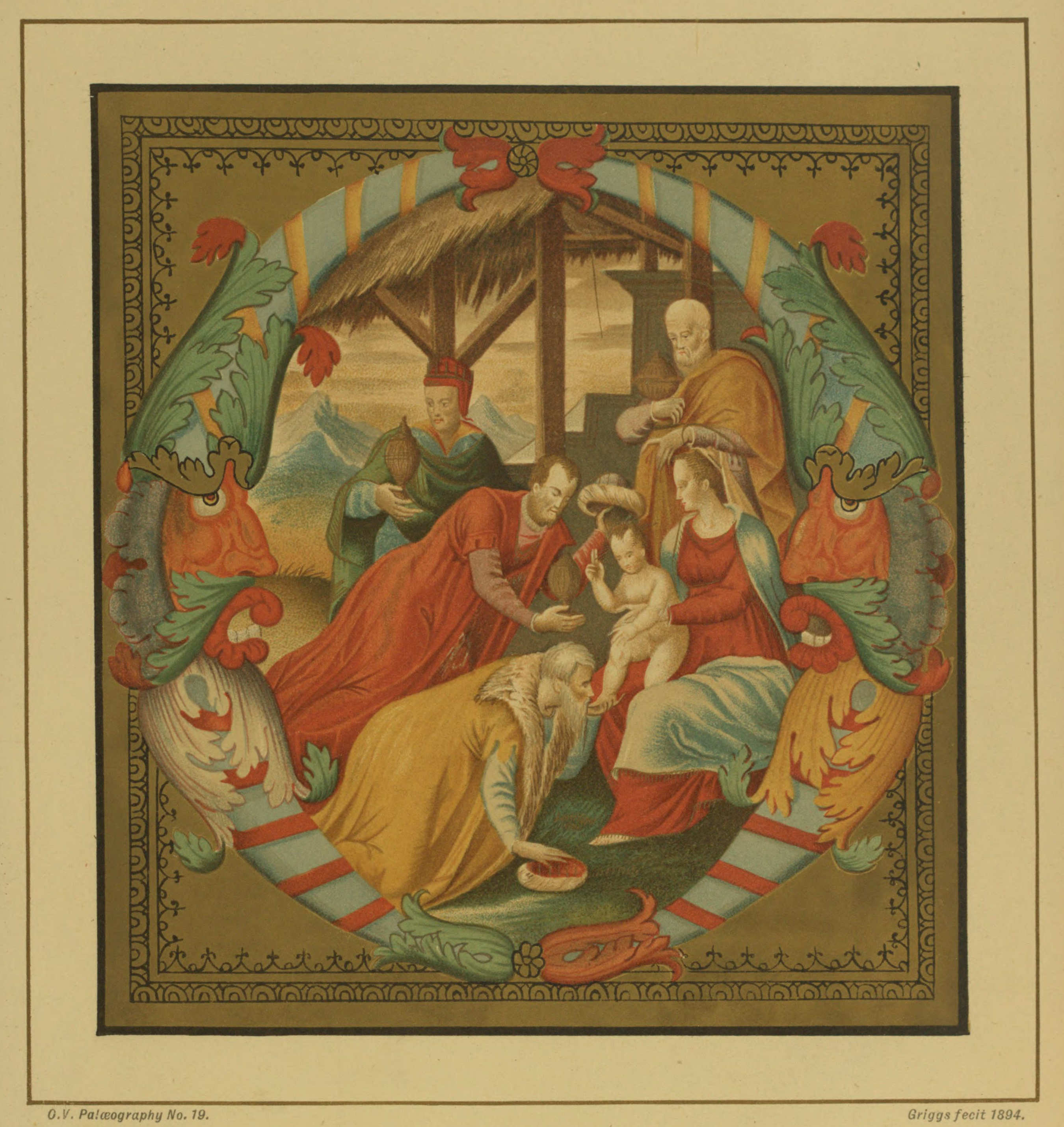 Plate 19 Plate 19