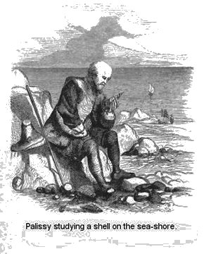 Palissy studying a shell on the sea-shore