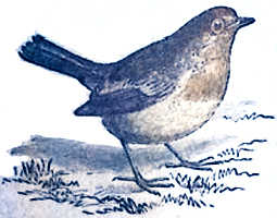 image026