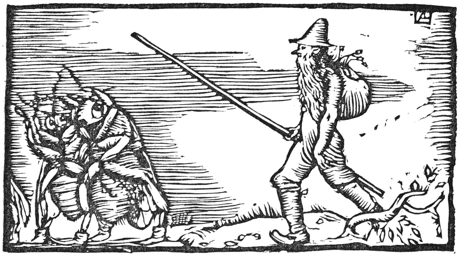 Bearded man walking with stick and backpack