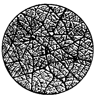 Fig. 109—Diagram of a section of a muscle, showing the perimysium and the bundles of fiber cells. Fig. 109