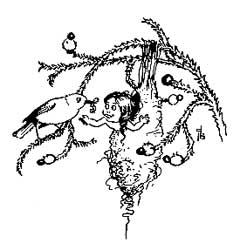 Chapter footer Chapter footer