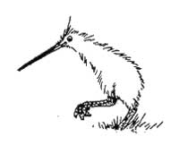 Chapter footer Chapter footer