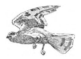 0048m