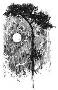 0190m