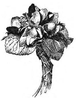 0207m