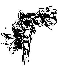 0253m