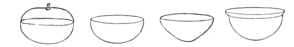 Origin of forms. Fig. 210