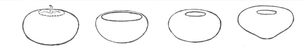 Origin of forms. Fig. 211