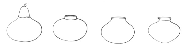 Origin of forms. Fig. 212