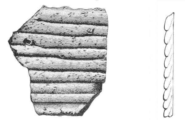 Rib like coil. Section. Fig. 221