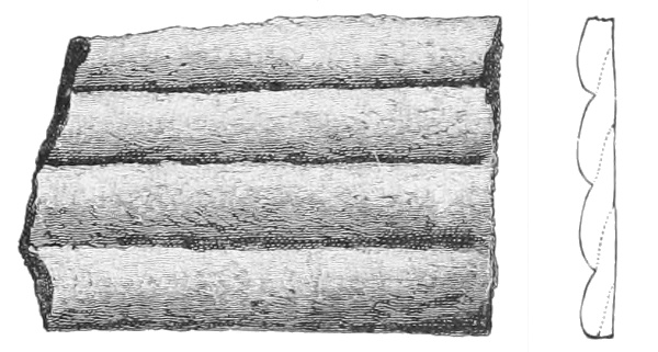 Rib like coil section. Fig. 222