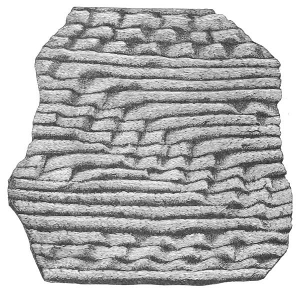 Indented pattern. Fig. 223