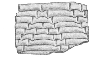 Implement indentations. Fig. 228