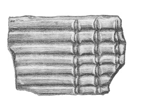 Nail markings Fig. 229