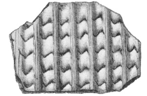 Nail markings Fig. 230