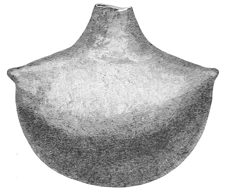 Vase from the tumulus at Saint George. Fig. 257