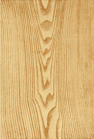 Plate 23. CHESTNUT.
