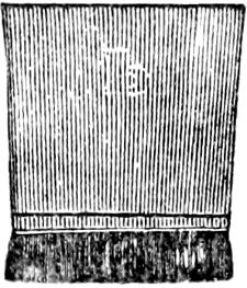 Fig. 19.