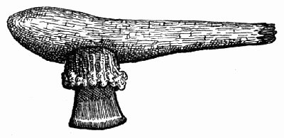 Stone hatchet